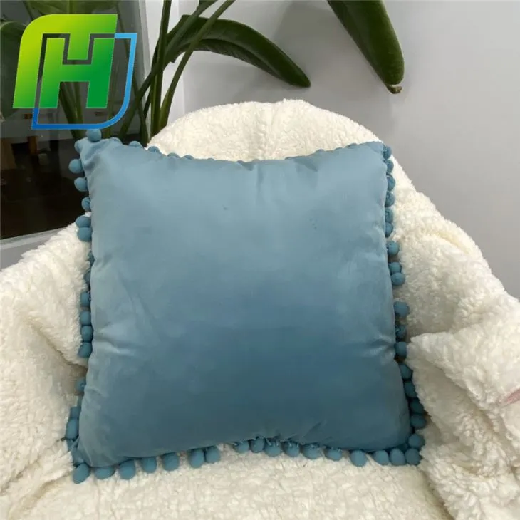 Velvet Cushion
